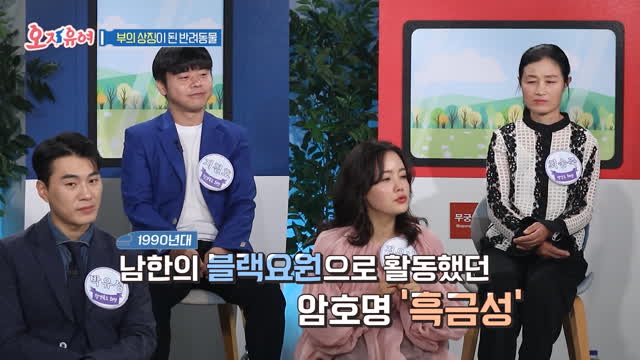 남북한 반려동물 문화 충돌?! 탈북민이 말하는 진짜 이야기