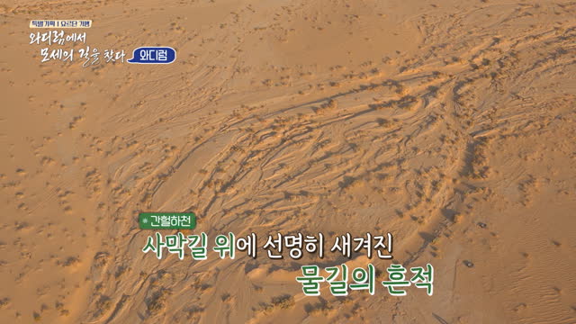 GOODTV 특별기획 다큐멘터리