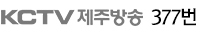 제주방송 377번